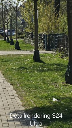 20250403_124957(1).jpg