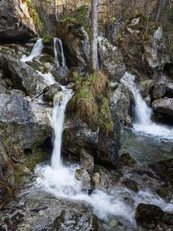 IMG_20250403_092005-Lightroom.jpg