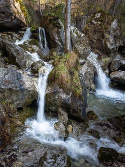 IMG_20250403_092005-Topaz.jpg
