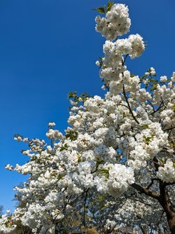 Gcam20250403_150500623.jpg
