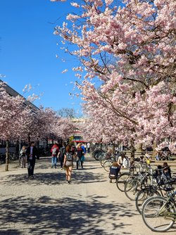 Gcam2 03042025_153355870~2.jpg