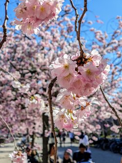 Gcam2 03042025_155039127~2.jpg
