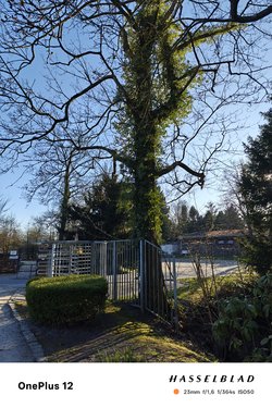 IMG20250403183736.jpg