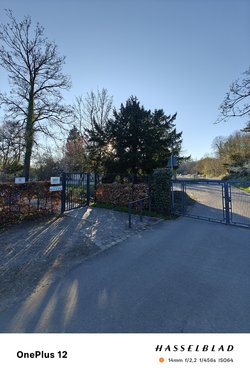IMG20250403184235.jpg