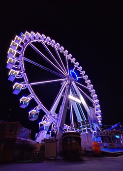 20250401_053545536.JPG