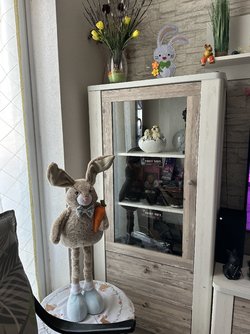 IMG_8049.jpeg