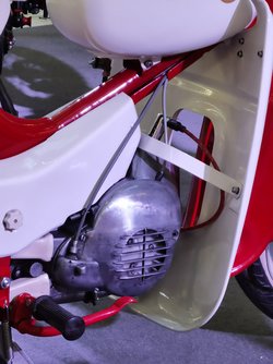 IMG_20250324_173104.jpg