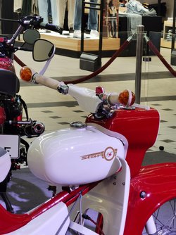 IMG_20250324_173111.jpg