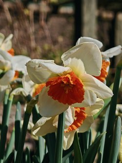 IMG_20250404_113756.jpg