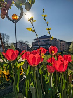 Gcam20250403_173032527.jpg