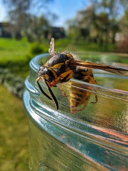 Gcam20250404_171217581.jpg