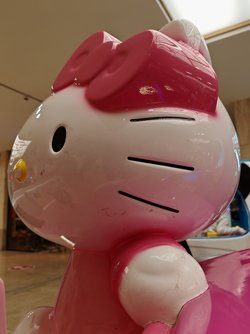 IMG_20250403_165447.jpg