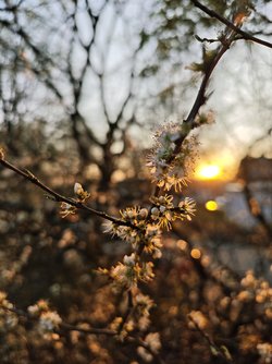 MVIMG_20250404_194756.jpg
