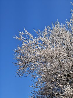 MVIMG_20250404_145725.jpg