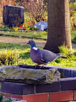 IMG_20250402_180046.jpg