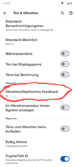 Screenshot_20250405-110307.Einstellungen~2.png