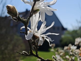 IMG_20250405_113656.jpg