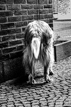 IMG_20250405_131641608 (1) (1).jpg