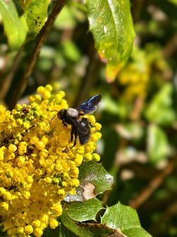 IMG_20250405_141730.jpg
