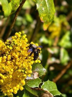 IMG_20250405_141729.jpg