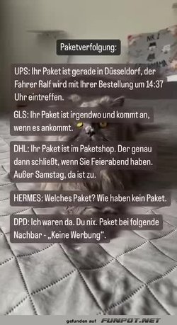 Die_Paketverfolgung.jpg