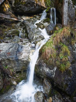 IMG_20250403_091916-Verbessert-RR.jpg