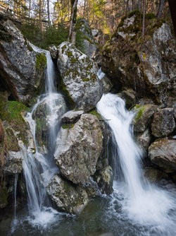 IMG_20250403_091848-Verbessert-RR.jpg