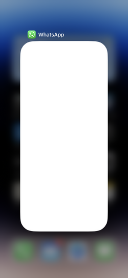 IMG_0506.png