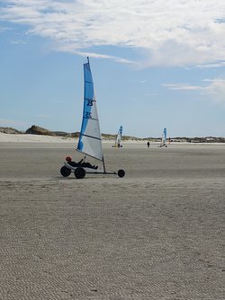 20250405_123937.JPG