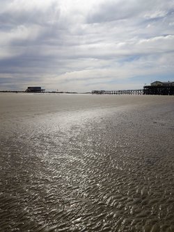 20250405_120251.JPG