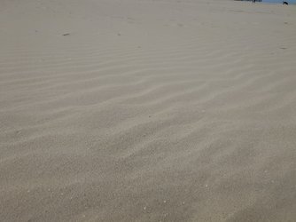 20250405_115429.JPG