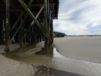 20250405_120741.JPG