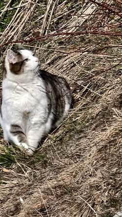 IMG_20250405_101405.jpg