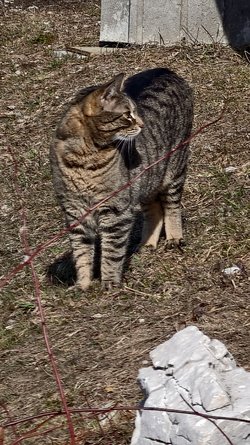 IMG_20250405_101424.jpg