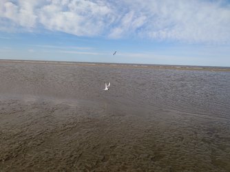 20250405_122013.JPG