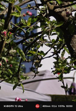IMG_20250406_121618.jpg