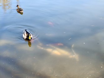 IMG_20250406_121324255.jpg