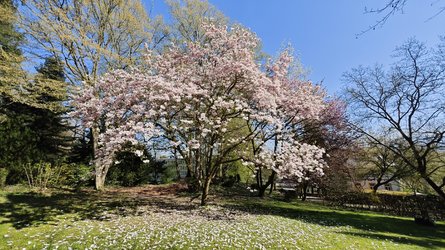 IMG_20250405_110203.jpg