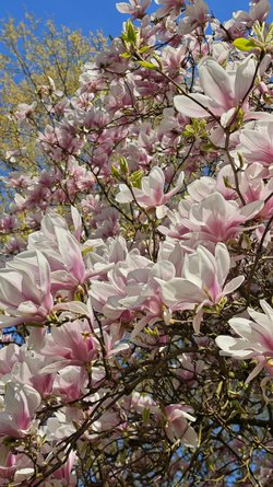 IMG_20250405_110142.jpg
