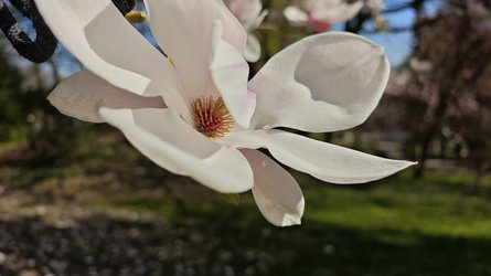 IMG_20250405_110118.jpg