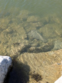 PXL_20250406_111016612.MP.jpg
