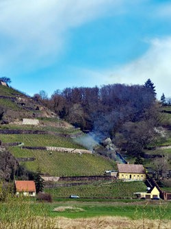 IMG_20250405_124003.jpg