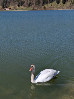 PXL_20250406_110921268.jpg