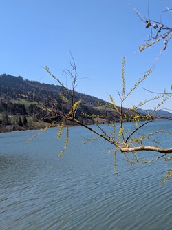 PXL_20250406_111750551.MP.jpg