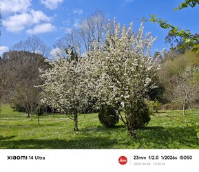 IMG_20250406_133616.jpg