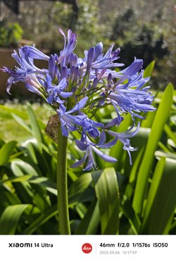 IMG_20250406_161759.jpg