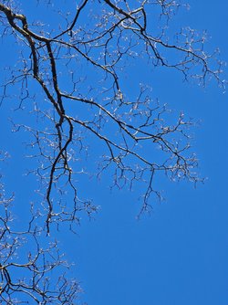 20250406_135334.jpg