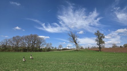 20250405_124839.jpg