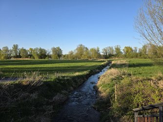 20250406_185153.jpg