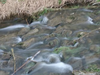 20250406_191934.jpg